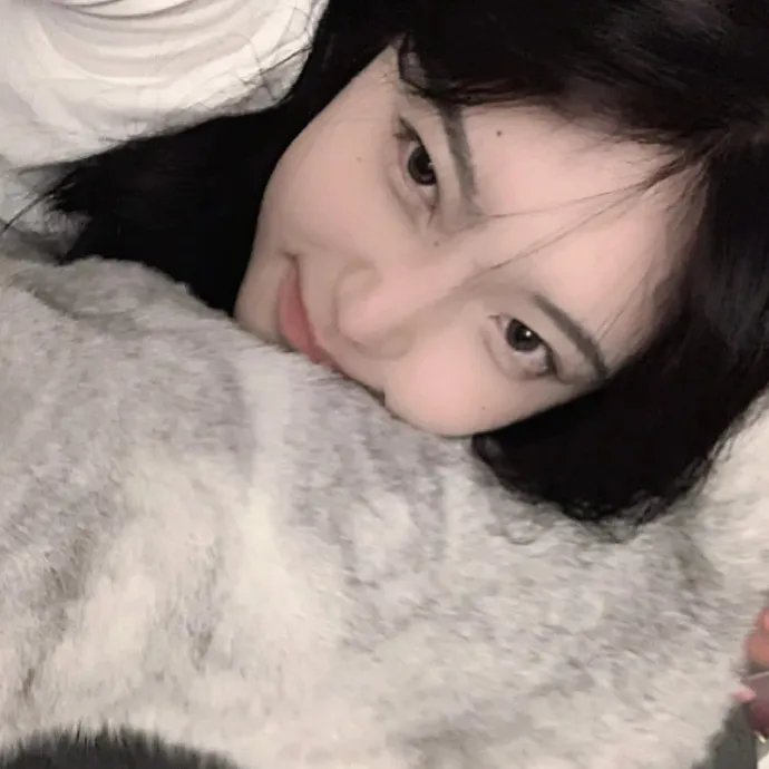 雪中真相